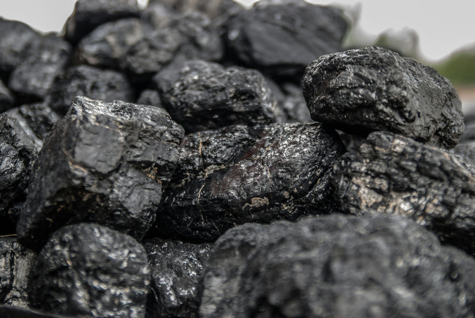Coal Briquette Black 46801 46801 Scaled