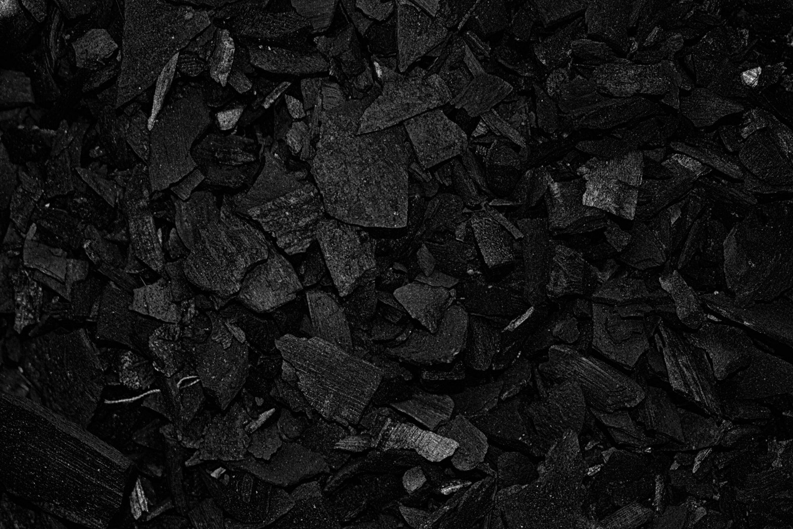 Pexels Photo 10709388 10709388 Scaled